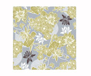 Pack Regalo Beb� au Lait Ascot