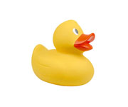 Yellow Ducky