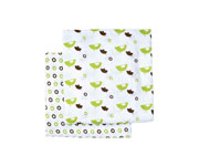 Pack 2 Muslin Blankets Primary