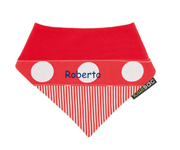Red Q22 Personalised Dribbler