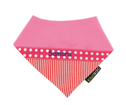 Pink Q17 Personalised Dribbler