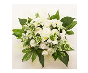 Organic Cotton Bouquet (Large)