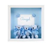 Glass Case Blue Bears V009