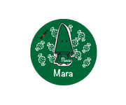 1 chapa Nazareno Verde