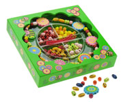 Flower Jewellery Kit