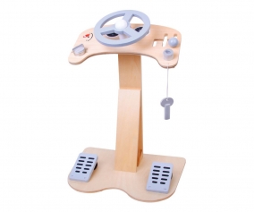 Juego Centro de Conduccin