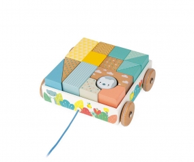 Mini Cart with Cubes for Walking