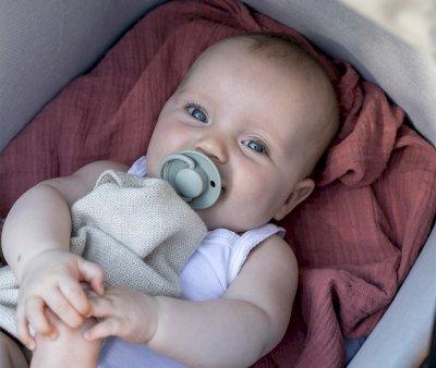 2 Succhietti BIBS De Lux Vanilla/Dark Oak Silicone