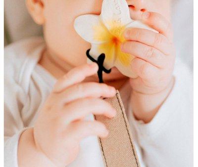 Oli&Carol Latex Hawaii Flower Teether