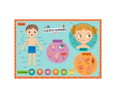 Mi Estuche de Imanes Cuerpo Humano