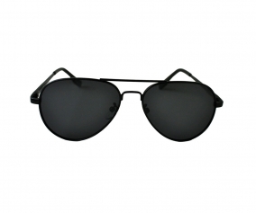 Flynn Black Sunglasses  