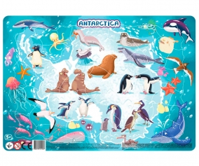 Puzzle Cornice Antartide 53pz