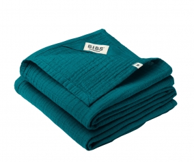 2 Trapitos Muselinas BIBS Forest Lake