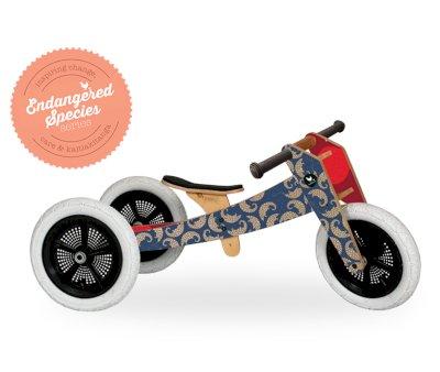 Bicicleta Evolutiva Wishbone Pangolin 3 en 1