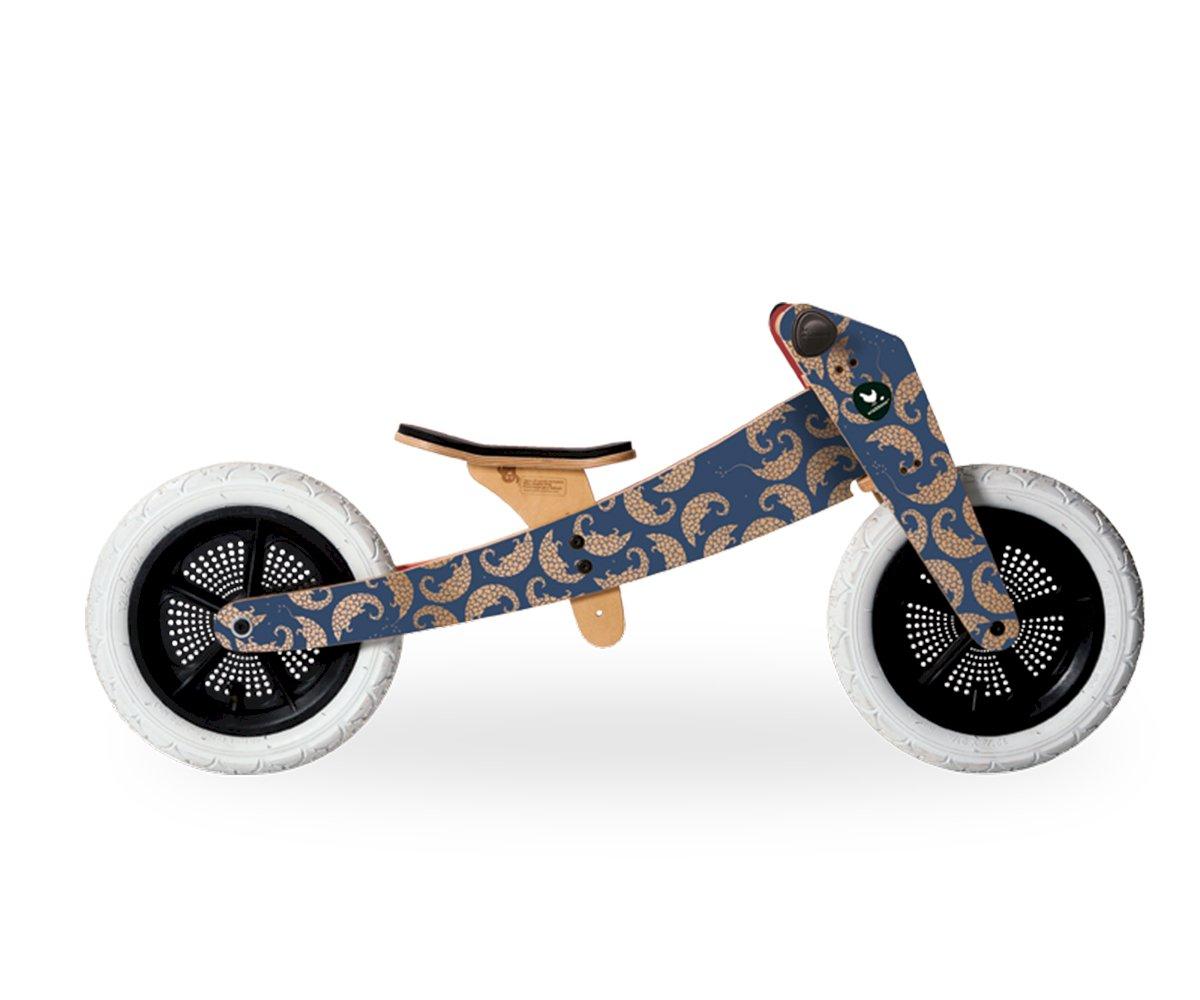 Bicicleta Evolution 3 Em 1 Wishbone Pangolin