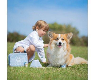 Set Veterinario
