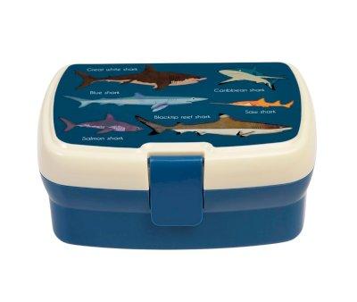 Caja de Almuerzo Sharks