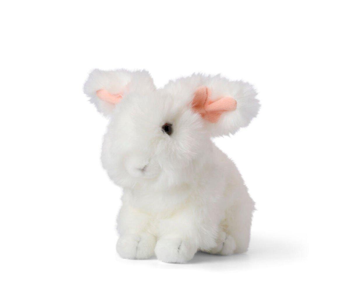 Coelho WWF Angora 20cm