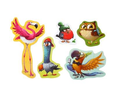 Puzzle 5 in 1 Uccelli