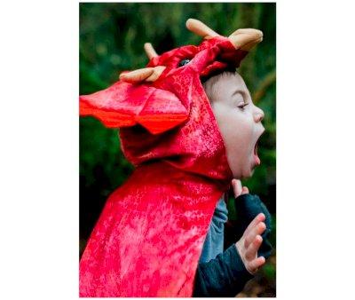 Fantasia Capa com capuz  Triceratops Hooded Vermelho 4-5 anos