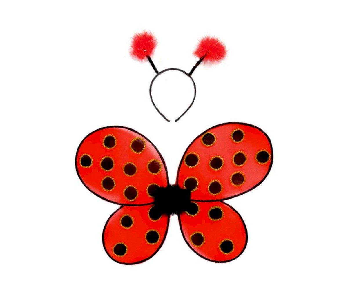 Accessori Coccinella-Ali E Cerchietto 3 Anni