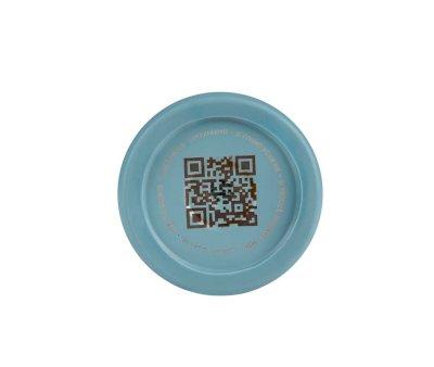 Bouteille Isotherme Avion 250 ml