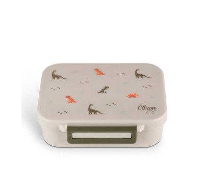 Lunch Box Basic Tritan Citron Dino