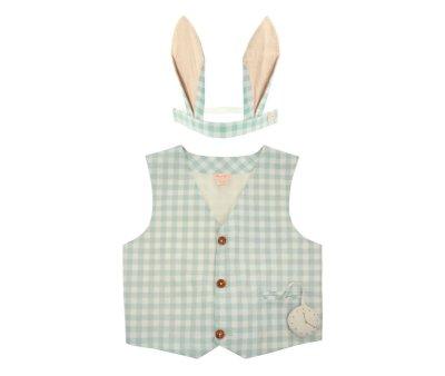 Gingham Bunny Costume