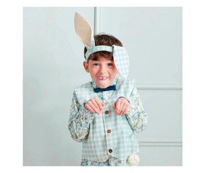 Gingham Bunny Costume