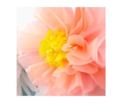 Ghirlanda Gigante Flowers in Bloom