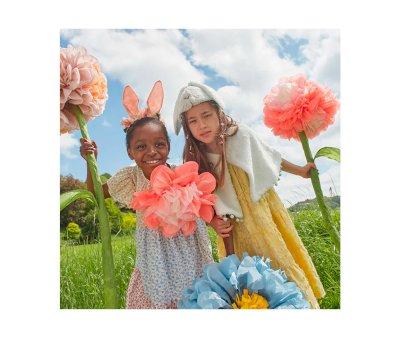 Diadema Orejitas Bunny Vichy Rosa