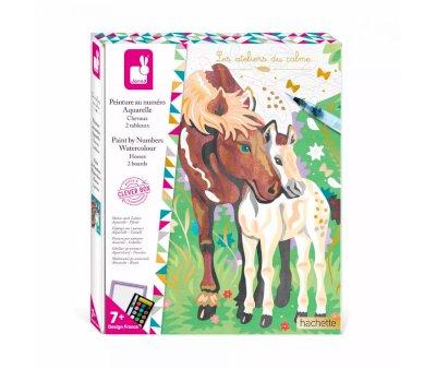 Pintura por Nmero Acuarela Caballos