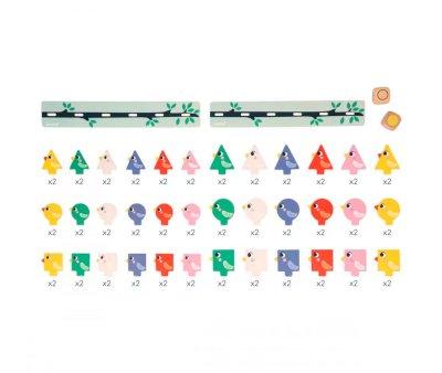 Identificazione Forme, Dimensioni, Colori - Uccelli