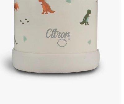 Bouteille isotherme Dino Green 250 ml