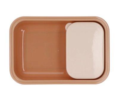 Box Lunch Bento Leaves Sand