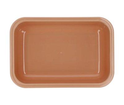Box Lunch Bento Leaves Sand