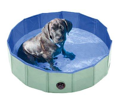 Piscina Plegable para Perros Mint Green