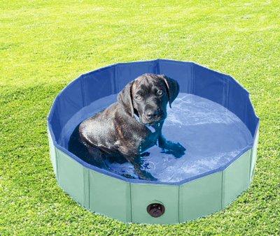 Piscina Plegable para Perros Mint Green