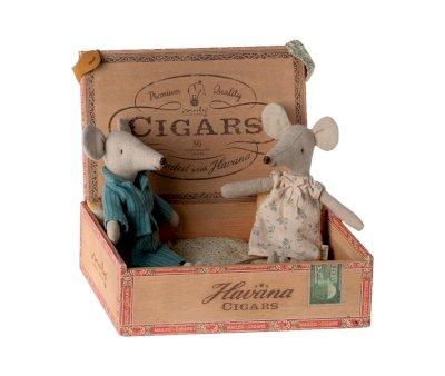 Dad and Mom Mouse in Box