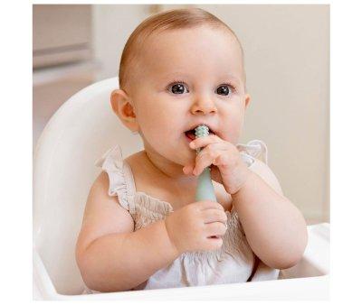 3 Herramientas Desarrollo Oral Salvia