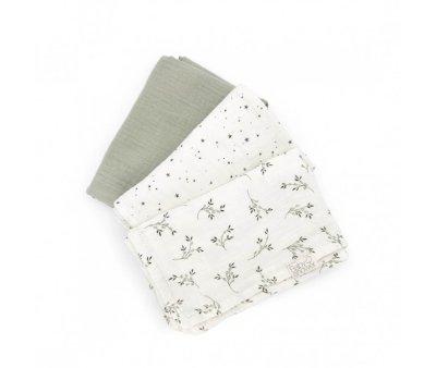 Pack de 3 Mini-lignes Olive Bloom