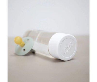 Sensory Bottle Turtles