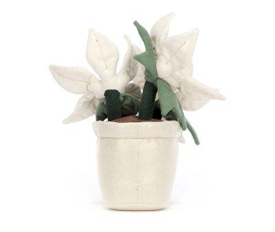Planta Navidea Blanca