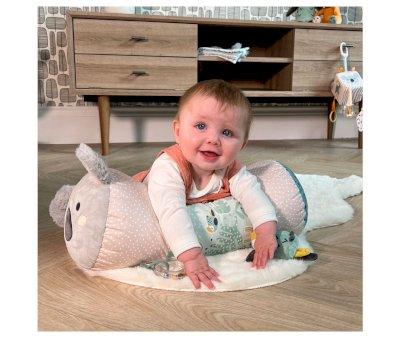 Coussin Stimulation  Plat Ventre Animal Adventure