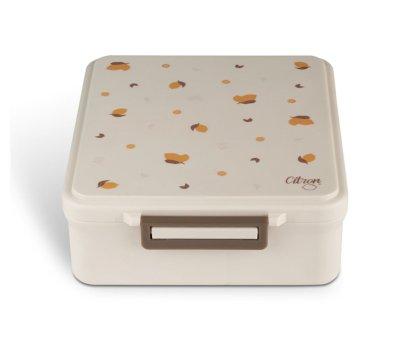 Large Tritan Lemon Lunch Box with Thermos