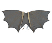 Ailes de dragon