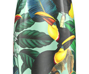 Bouteille Inox Toucan Tropical  500 ml