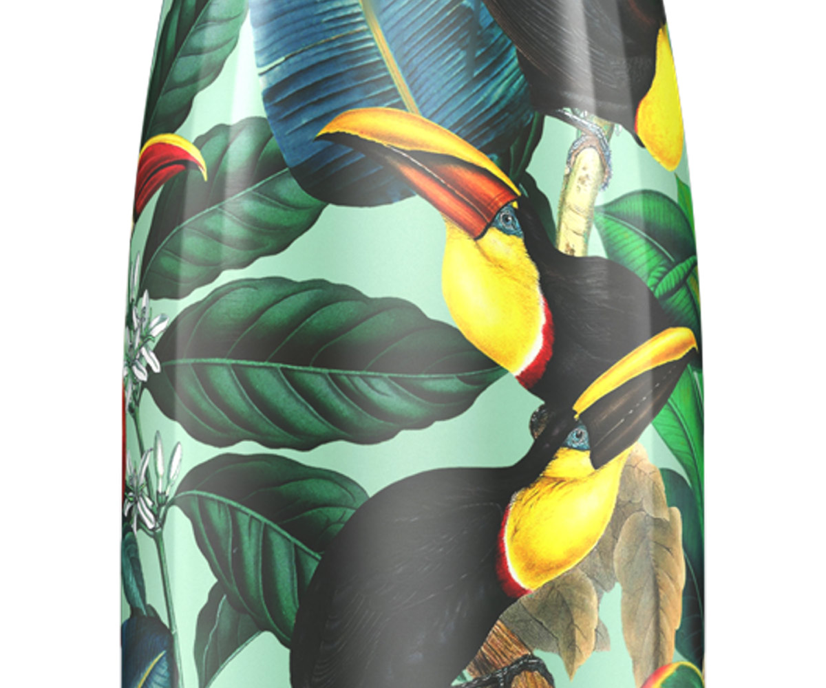 Botella Acero Inoxidable Toucan Tropical 500ml