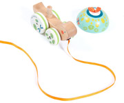 Para Arrastar Drag Turtle Jungle