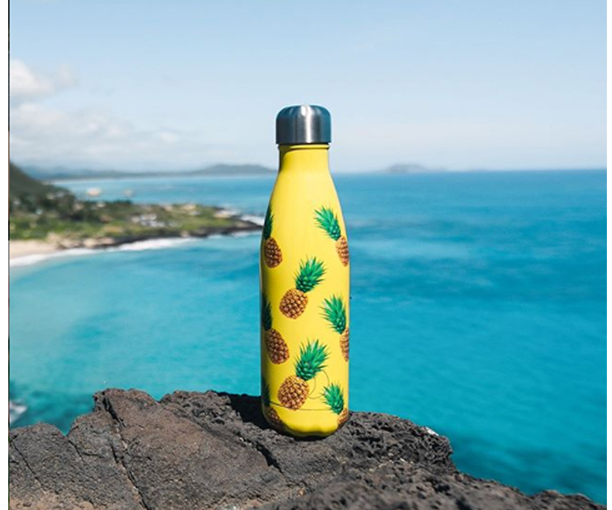Botella Acero Inoxidable Frutal Piña 500ml - Tutete